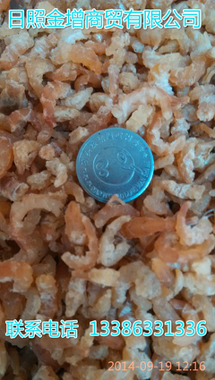 日照金增水產(chǎn) 冷凍帶魚塊段工廠直銷，優(yōu)質(zhì)批發(fā)首選