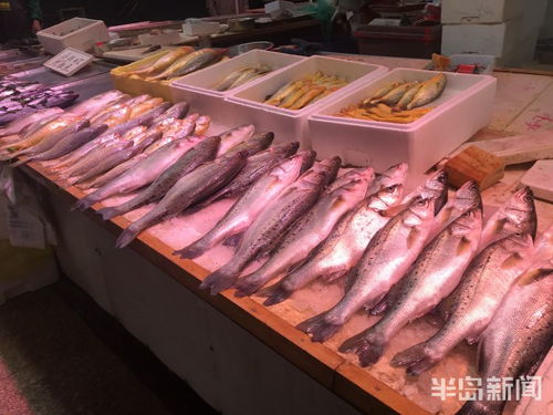 青島水產(chǎn)品交易遇冷，進口水產(chǎn)停售，市場監(jiān)管部門嚴查進貨來源